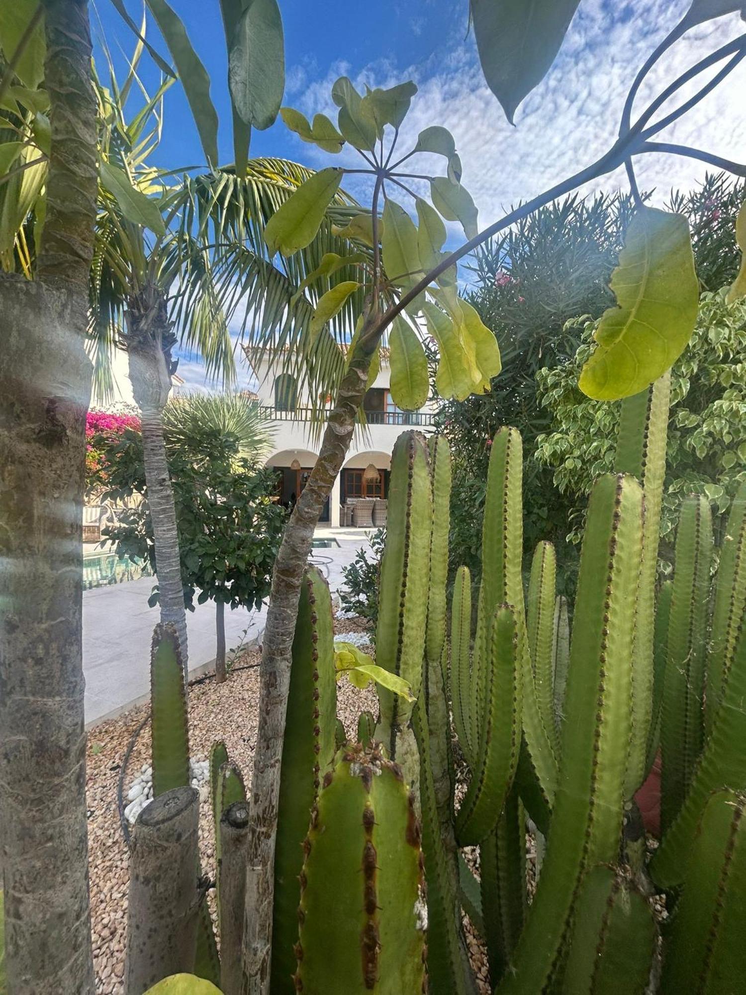Villa Ibiza - Beautiful House With Private Pool Chayofa Dış mekan fotoğraf